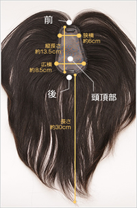 ヘアピース　100R-MONOのサイズ